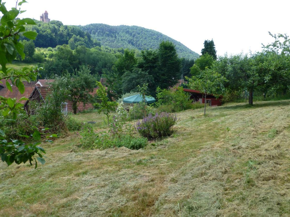 Feriengaleriewohnung Im Denkmal Stilvoll-Komfortabel Baubiologisch Erlenbach  Esterno foto